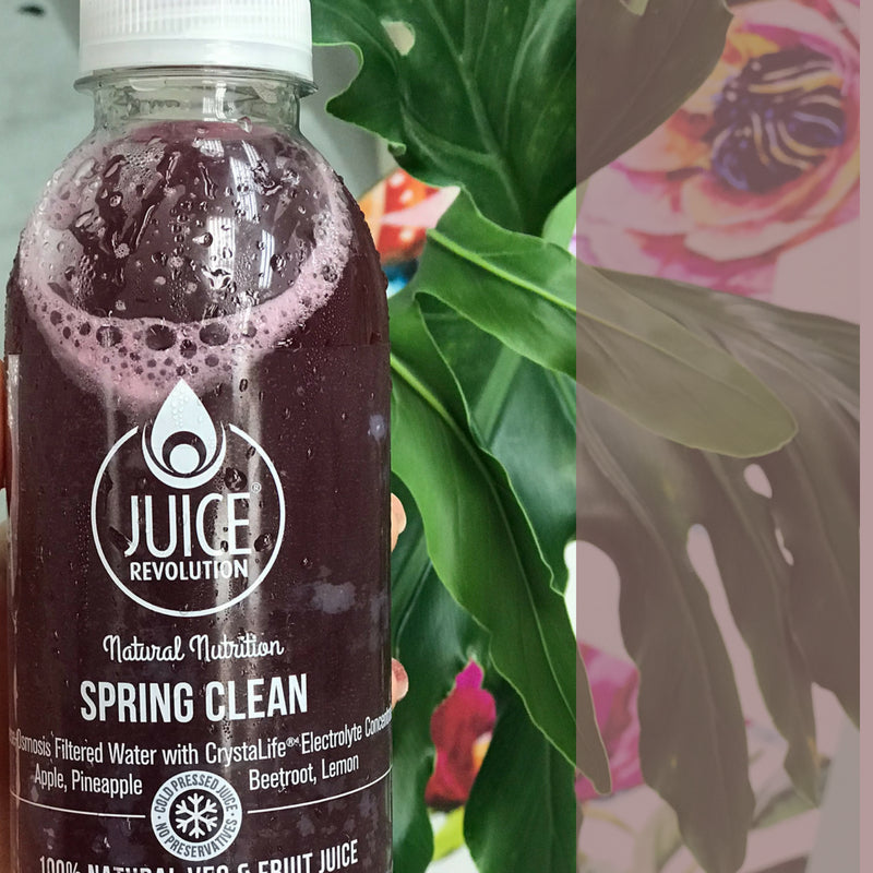 3 Day juice and soup cleanse | JUICE REVOLUTION